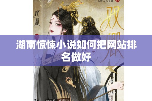 湖南惊悚小说如何把网站排名做好