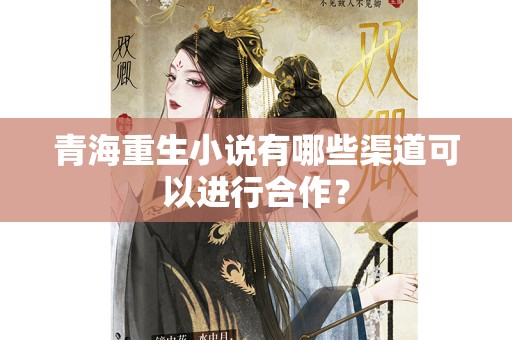 青海重生小说有哪些渠道可以进行合作？