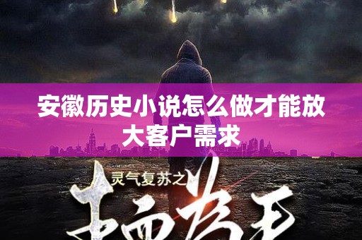 安徽历史小说怎么做才能放大客户需求