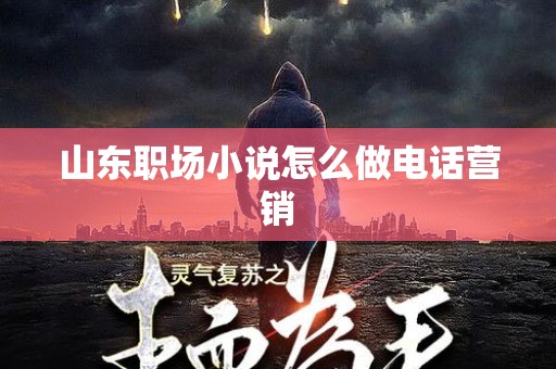 山东职场小说怎么做电话营销