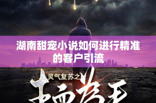 湖南甜宠小说如何进行精准的客户引流