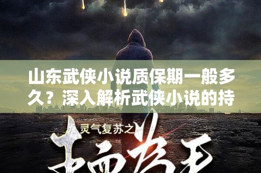 山东武侠小说质保期一般多久？深入解析武侠小说的持久魅力