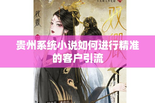 贵州系统小说如何进行精准的客户引流