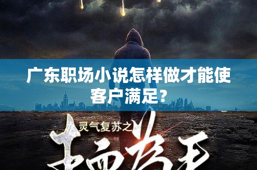 广东职场小说怎样做才能使客户满足？