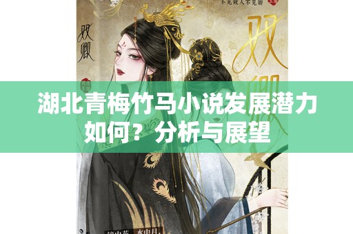 湖北青梅竹马小说发展潜力如何？分析与展望