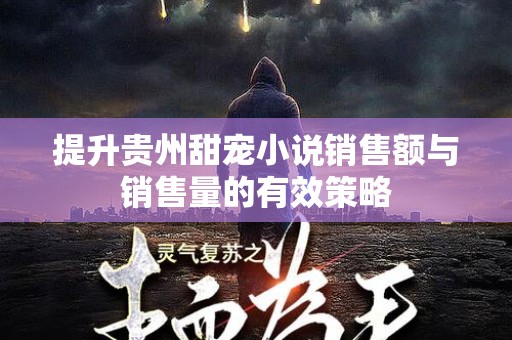 提升贵州甜宠小说销售额与销售量的有效策略