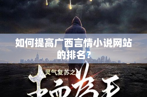 如何提高广西言情小说网站的排名？