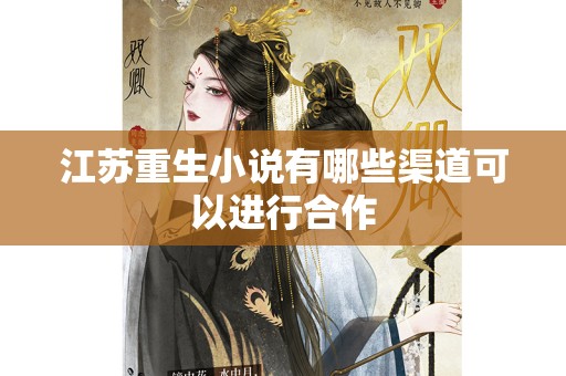 江苏重生小说有哪些渠道可以进行合作