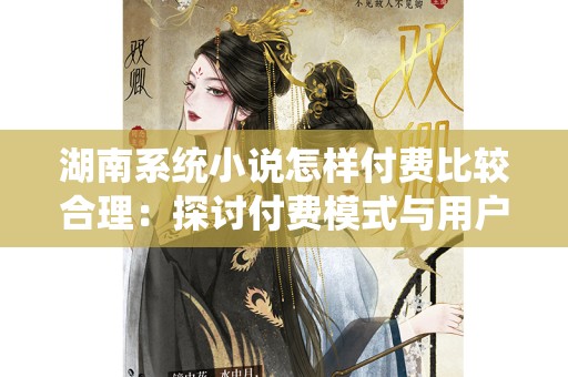 湖南系统小说怎样付费比较合理：探讨付费模式与用户体验