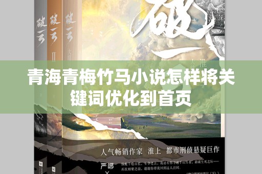 青海青梅竹马小说怎样将关键词优化到首页