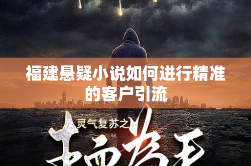 福建悬疑小说如何进行精准的客户引流
