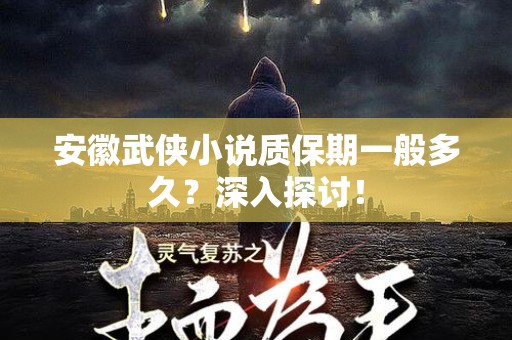安徽武侠小说质保期一般多久？深入探讨！