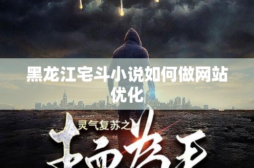 黑龙江宅斗小说如何做网站优化
