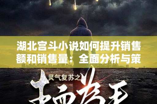 湖北宫斗小说如何提升销售额和销售量：全面分析与策略