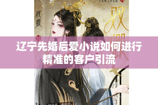 辽宁先婚后爱小说如何进行精准的客户引流
