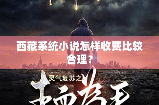 西藏系统小说怎样收费比较合理？