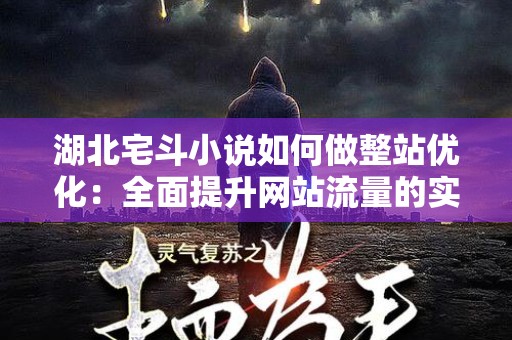 湖北宅斗小说如何做整站优化：全面提升网站流量的实用指南