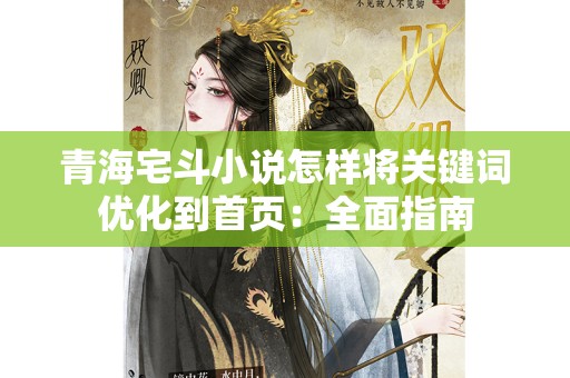 青海宅斗小说怎样将关键词优化到首页：全面指南