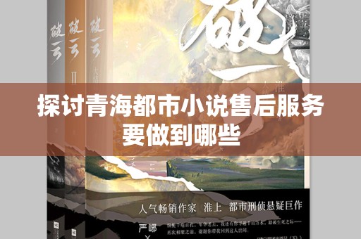 探讨青海都市小说售后服务要做到哪些
