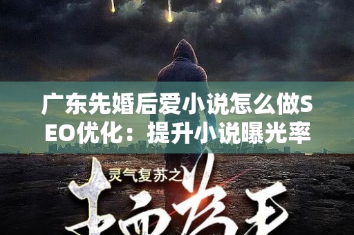 广东先婚后爱小说怎么做SEO优化：提升小说曝光率的必备策略