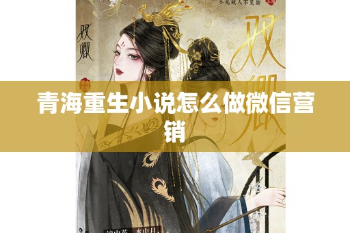 青海重生小说怎么做微信营销