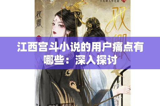 江西宫斗小说的用户痛点有哪些：深入探讨