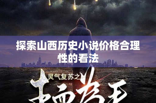 探索山西历史小说价格合理性的看法