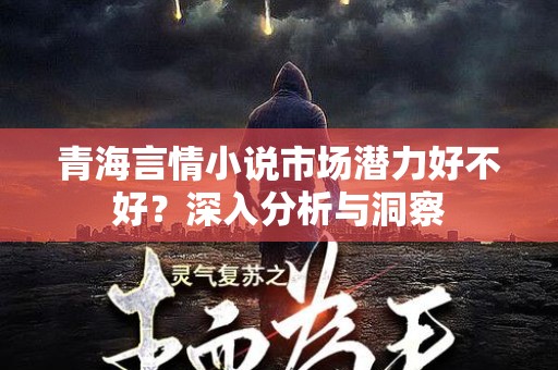 青海言情小说市场潜力好不好？深入分析与洞察