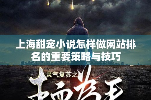 上海甜宠小说怎样做网站排名的重要策略与技巧