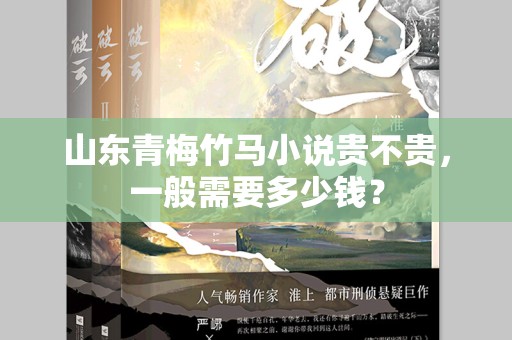 山东青梅竹马小说贵不贵，一般需要多少钱？