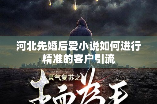 河北先婚后爱小说如何进行精准的客户引流