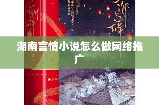 湖南言情小说怎么做网络推广