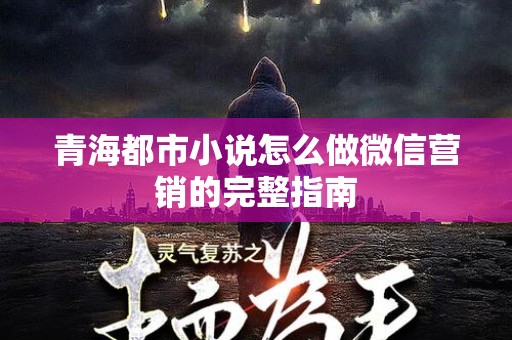 青海都市小说怎么做微信营销的完整指南