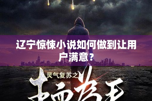 辽宁惊悚小说如何做到让用户满意？