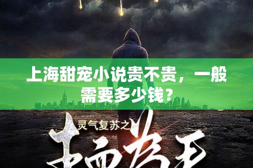 上海甜宠小说贵不贵，一般需要多少钱？