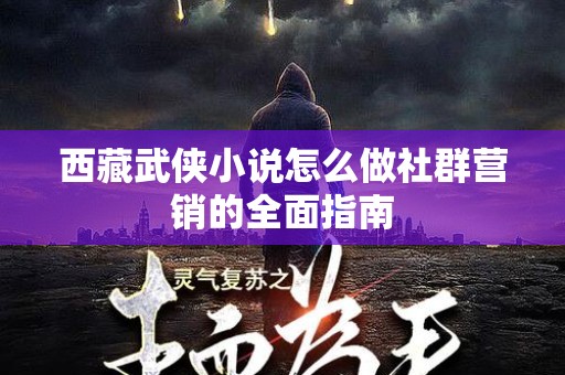 西藏武侠小说怎么做社群营销的全面指南