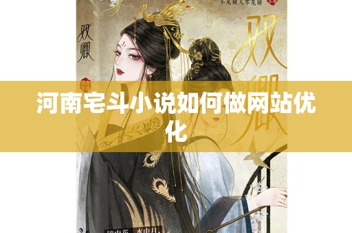 河南宅斗小说如何做网站优化