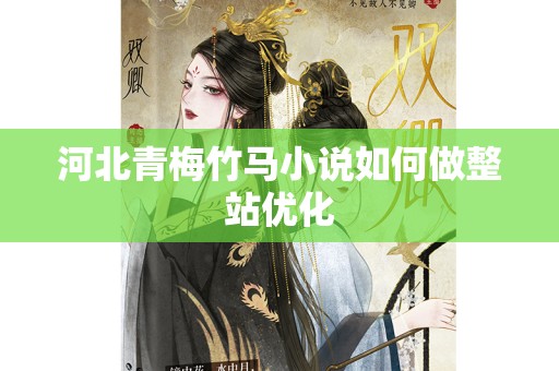河北青梅竹马小说如何做整站优化