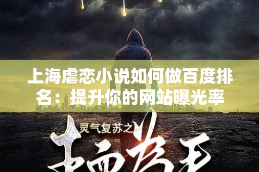 上海虐恋小说如何做百度排名：提升你的网站曝光率