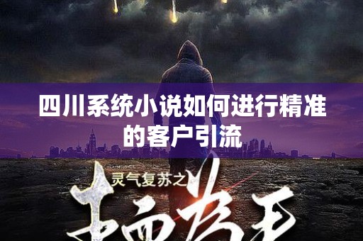 四川系统小说如何进行精准的客户引流