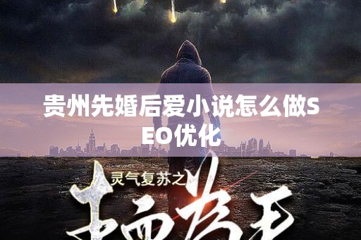 贵州先婚后爱小说怎么做SEO优化
