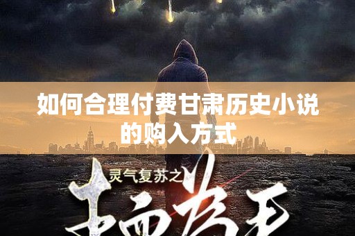 如何合理付费甘肃历史小说的购入方式