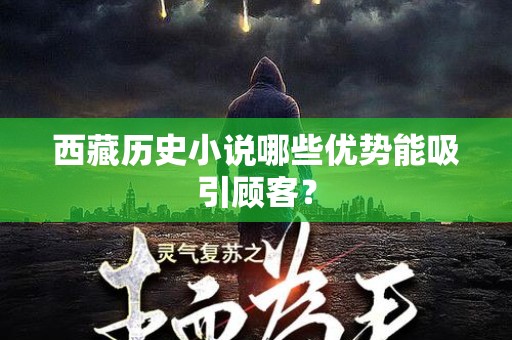 西藏历史小说哪些优势能吸引顾客？