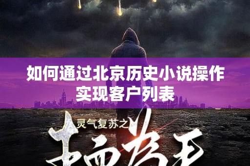 如何通过北京历史小说操作实现客户列表