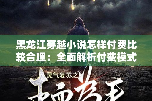 黑龙江穿越小说怎样付费比较合理：全面解析付费模式