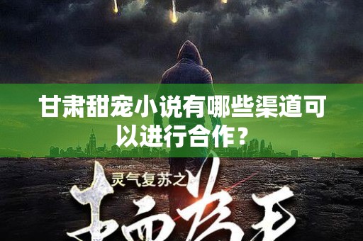 甘肃甜宠小说有哪些渠道可以进行合作？