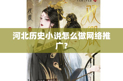 河北历史小说怎么做网络推广？