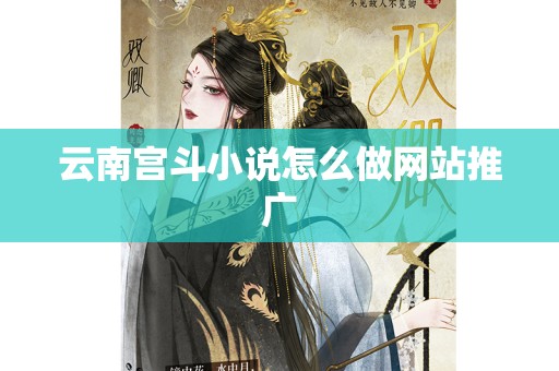 云南宫斗小说怎么做网站推广