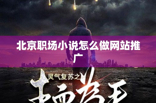 北京职场小说怎么做网站推广