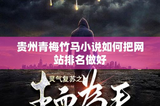 贵州青梅竹马小说如何把网站排名做好